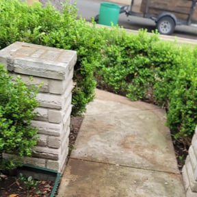 Leaf Removal by Nicholas Lawn services reviewed on September 13, 2025