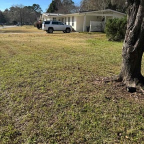 Leaf Removal by Elite Mowers LLC reviewed on December 1, 2025