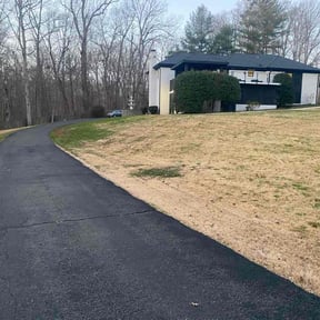 Leaf Removal by Richy reviewed on March 8, 2026