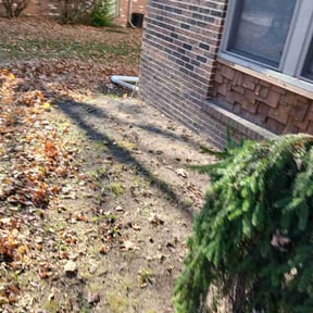 Flower Bed Weeding by I-Haul Services reviewed on November 23, 2025