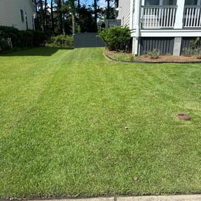 grass maintenance by Edward In Your Budget Estimates reviewed on March 30, 2022