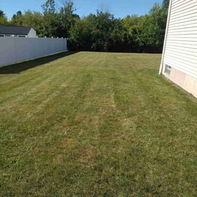 turf maintenance by Triple L Lawncare reviewed on April 24, 2021