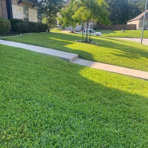 landscaping by Diego's Lawn Care reviewed on August 18, 2025