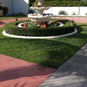 Bush Trimming by Ray Wright Lawn Care Services LLC reviewed on August 16, 2025