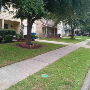 turf maintenance by M&amp;S All Seasons Lawn Maintenance reviewed on August 18, 2025