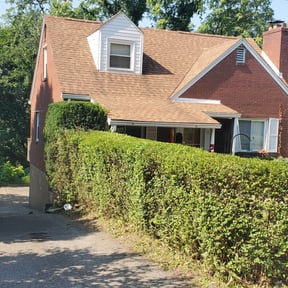 Bush Trimming by 1968 reviewed on May 16, 2024