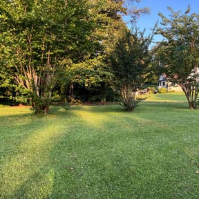 yard work by Trim it up landscaping llc reviewed on August 16, 2025
