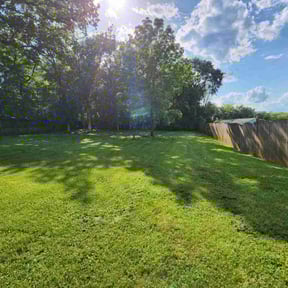 landscaping by GreenCut Lawn Care reviewed on August 16, 2025