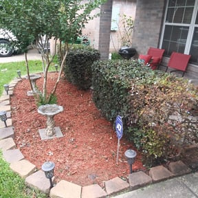 Bush Trimming by Morgan Henry Lawn Care reviewed on August 21, 2025