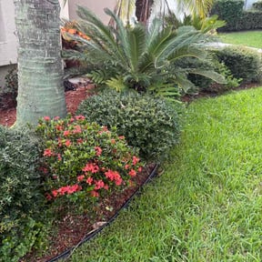 Bush Trimming by Shawn Hussey Lawns reviewed on August 5, 2026