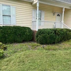 Bush Trimming by J & B lawncare reviewed on August 19, 2025