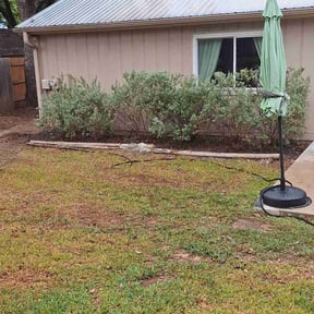 Bush Trimming by Grota Get It Done reviewed on November 19, 2025