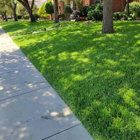 gardening service by Lawn star rangerz reviewed on August 21, 2025