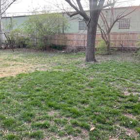 Leaf Removal by Precision Cuts Lawn Care reviewed on September 10, 2025