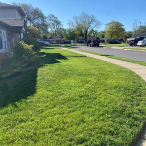 grass cutting by Isaacs Inc reviewed on May 9, 2024