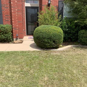 Bush Trimming by Morgan Henry Lawn Care reviewed on August 21, 2025