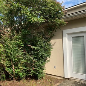 Bush Trimming by LD Brown Landscaping And Pressure Washing reviewed on August 20, 2025