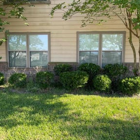 Bush Trimming by Florida’s Finest lawn care reviewed on August 18, 2025
