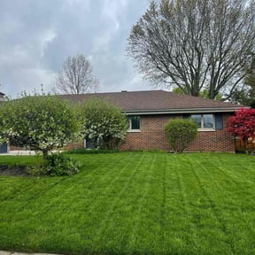 yard care by STR Lawn and Landscape LLC reviewed on August 19, 2025