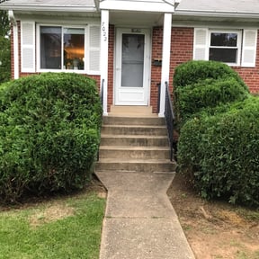 Bush Trimming by Visions Landscaping reviewed on August 20, 2025