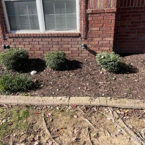 Bush Trimming by Mow it 405 reviewed on October 18, 2025