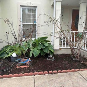 Flower Bed Weeding by Spotless Exterior reviewed on May 6, 2026