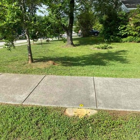 yard maintenance by McLean Services reviewed on August 15, 2025