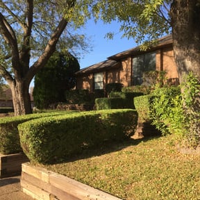 Bush Trimming by Lawns By Lopez reviewed on August 16, 2025