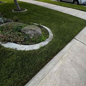 yard maintenance by Matus lawncare reviewed on August 15, 2025