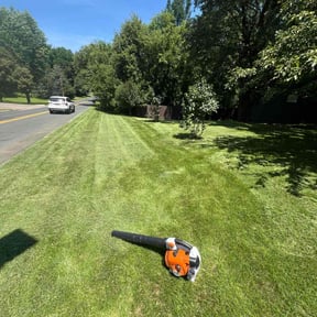 yard maintenance by Cutting Edge Improvements reviewed on August 20, 2025
