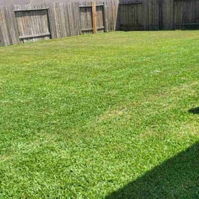 turf care by TNT Lawn Care reviewed on May 14, 2024