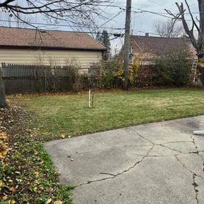 Leaf Removal by Re Image lawn care reviewed on August 20, 2026