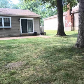 Leaf Removal by AC LAWNCARE reviewed on September 8, 2025