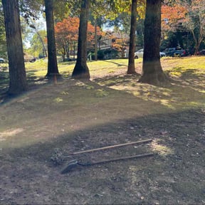 Leaf Removal by Cre8tive Art's Work LLC Lawn Care &amp; Property Preservation reviewed on October 22, 2025