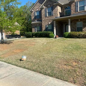 Bush Trimming by T's landscape co reviewed on August 20, 2025