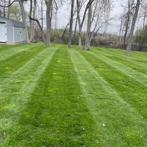 lawn maintenance by Extreme Lawn Care reviewed on August 17, 2025