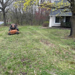 Leaf Removal by Ravens Vue reviewed on June 23, 2025