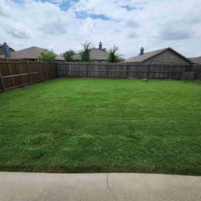 yard work by A1 landscaping reviewed on November 24, 2025