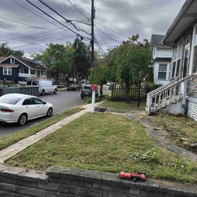 Bush Trimming by CM LANDSCAPED reviewed on October 20, 2025