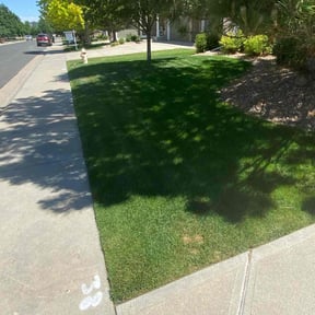yard work by Loveladys Lawn Care reviewed on August 18, 2025
