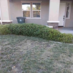 Bush Trimming by Gibbs &amp; Moody Property mgmt reviewed on November 21, 2025