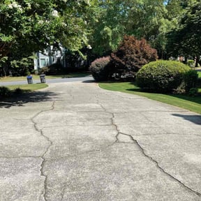 yard service by HITT Exteriors reviewed on August 17, 2025