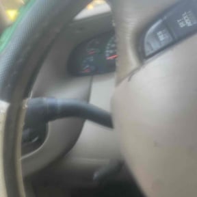 Bush Trimming by JKL Enterprises reviewed on December 4, 2025