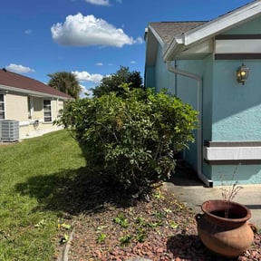 Bush Trimming by Albert brown llc reviewed on November 22, 2025