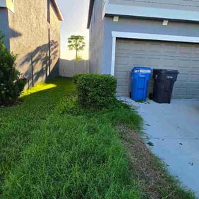Bush Trimming by Kingdom Landscapers and Professional Services LLC reviewed on August 21, 2026
