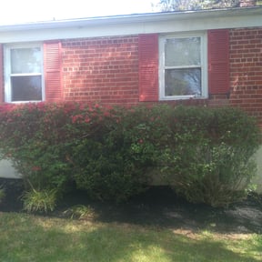Bush Trimming by Elegant Lawn & Landscaping LLC reviewed on August 15, 2025