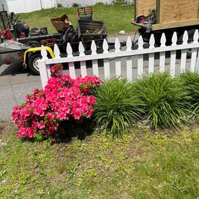 Flower Bed Weeding by Taylor’d Lawn Experience reviewed on June 2, 2026