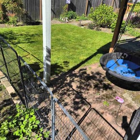 turf maintenance by Peninsulaservices1@gmail.com reviewed on May 2, 2024