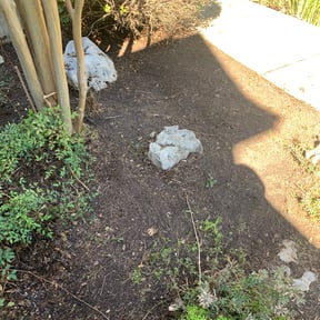 Leaf Removal by Smack Down lawns and tractor services reviewed on August 20, 2025