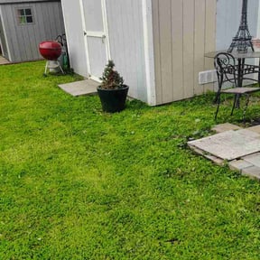 lawn care services by JR Landscaping Company reviewed on June 13, 2025